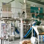 Millet ավտոմատ փաթեթավորման մեքենայի երկու միավոր ամբողջական տեղադրումը և վրիպազերծումը մեր հաճախորդի գործարանում